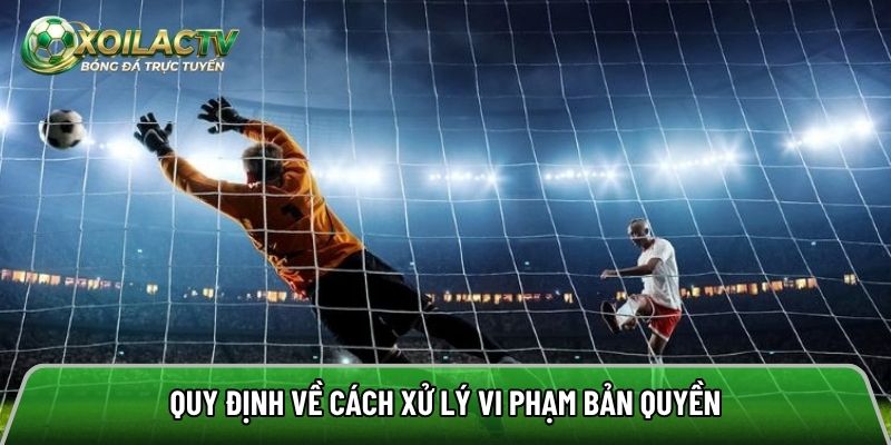 Cách xử lý các hành vi vi phạm chính sách