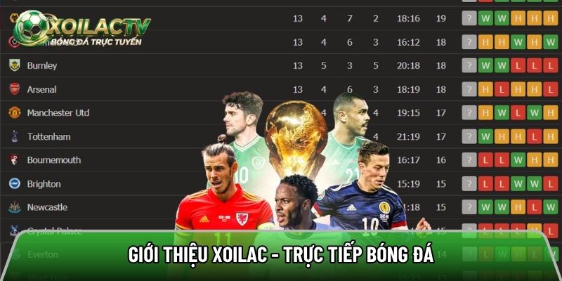 Giới thiệu về trang xem bóng đá trực tuyến HD miễn phí