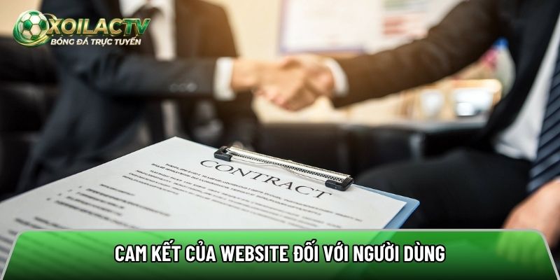 Những cam kết của website về chính sách điều khoản